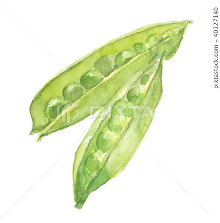 Snap Pea Snack Pea 40127140