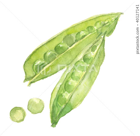 Snap Pea Snack Pea 40127141