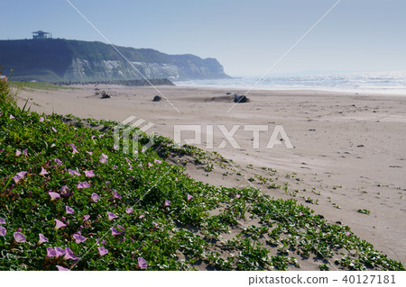 Iioka beach in spring Iioka beach in spring 40127181