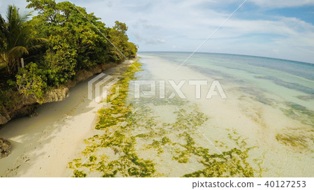 The ocean coast with beautiful coral reefs and views. Aerial view. The ocean coast with beautiful coral reefs and views. Aerial view. 40127253