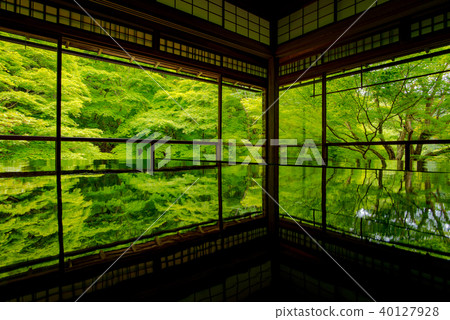 Furugen Rurikoin 40127928