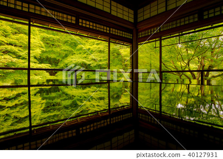 Furugen Rurikoin Furugen Rurikoin 40127931