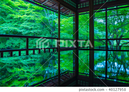 Furugen Rurikoin 40127958