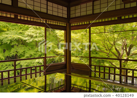 Furugen Rurikoin Furugen Rurikoin 40128149