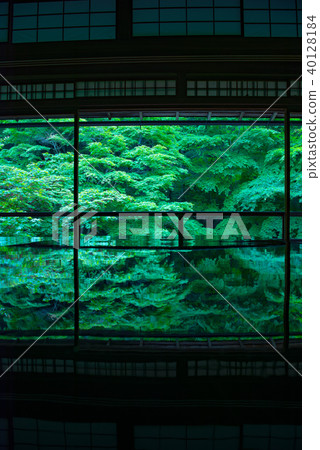 Furugen Rurikoin 40128184