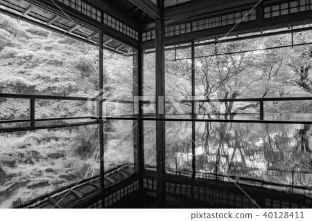 [Monotone] Rurikoin of the fresh green 40128411