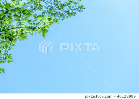 新鮮的青綠的天空 新鮮的青綠的天空 40128999