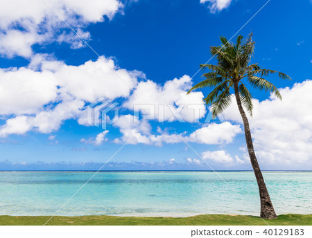 Summer image Guam 40129183