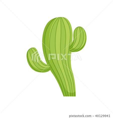 Cactus, traditional symbol of Mexico vector Illustration on a white background 40129941
