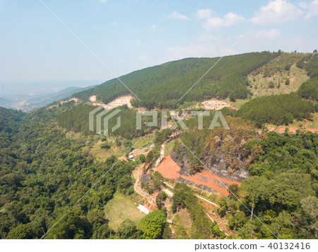 Aerial view of the road in the forest 40132416