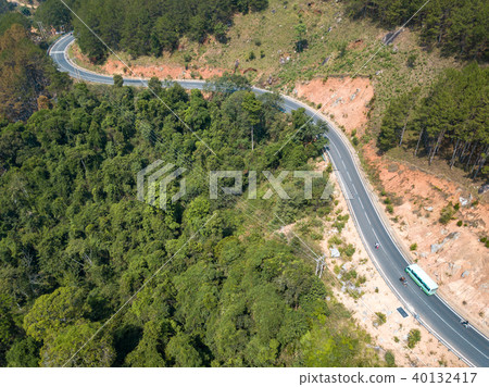 Aerial view of the road in the forest 40132417