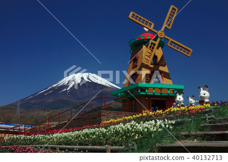 Tulip and Mt. Fuji Tulip and Mt. Fuji 40132713