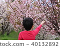 Sakura and boy 40132892