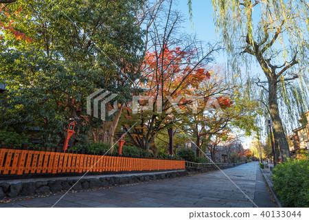 Gion Autumn's Shirakawa Nantong 40133044