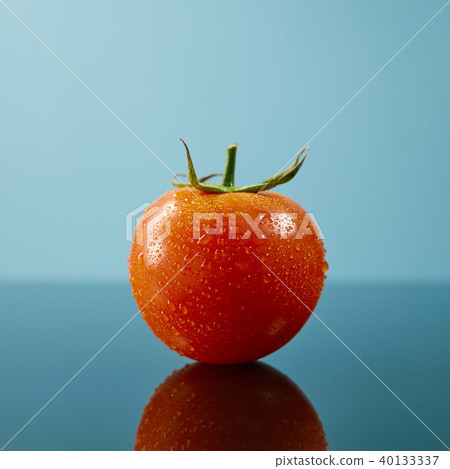Tomato with drops and a green tail isolated on glossy blue background Tomato with drops and a green tail isolated on glossy blue background 40133337