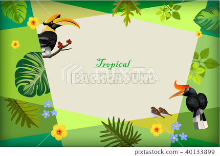 Bright Tropical Background With Jungle Plants Stock Illustration 40133899 Pixta