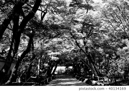 Kyoto Arashiyama Hogunin Kyoto Arashiyama Hogunin 40134169