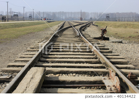 Auschwitz-Birkenau (Poland / Auschwitz) 40134422
