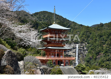 Nachi Kumano Taisha三重塔和櫻花 Nachi Kumano Taisha三重塔和櫻花 40135412