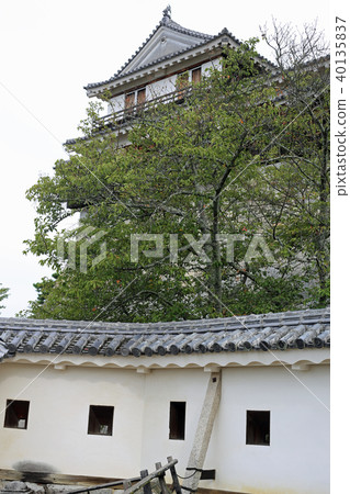 Matsuyama castle in late summer Matsuyama castle in late summer 40135837