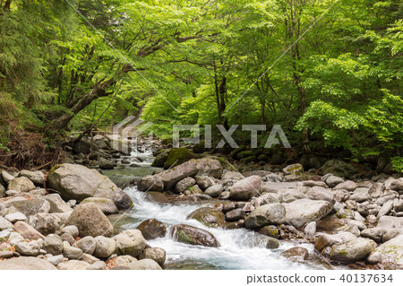 Shioya-cho, Tochigi Prefecture Naoto Susumu Mizusawa (May) 40137634