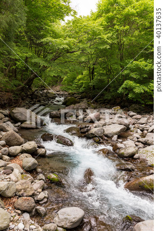 Shioya-cho, Tochigi Prefecture Naoto Susumu Mizusawa (May) 40137635