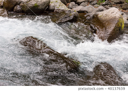 栃木縣鹽谷町Naoto Susumu Mizusawa（五月） 40137639