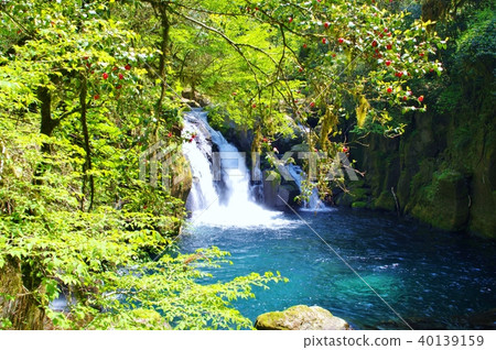 在熊本縣菊池谷的龍谷海角和天狗瀑布 40139159