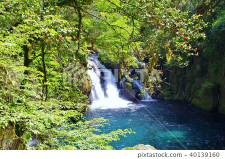 在熊本縣菊池谷的龍谷海角和天狗瀑布 在熊本縣菊池谷的龍谷海角和天狗瀑布 40139160