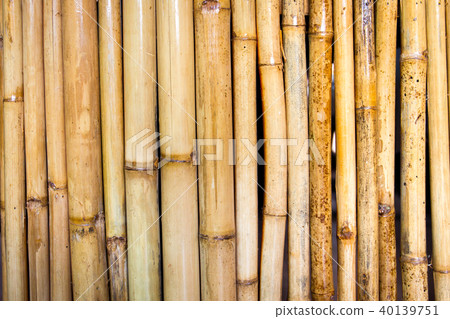 Bamboo wall Bamboo wall 40139751