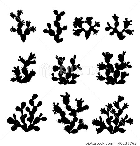Prickly pear cactus collection. Opuntia of various forms isolated on white background. Prickly pear cactus collection. Opuntia of various forms isolated on white background. 40139762