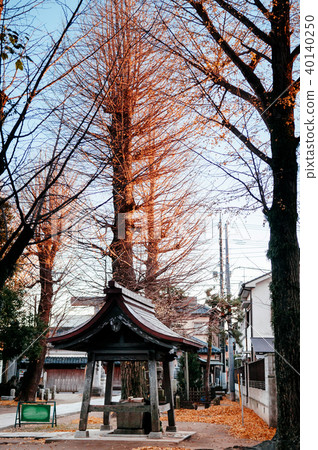 Temizuya water pavilion YASAKA Jinja Katori, Japan 40140250