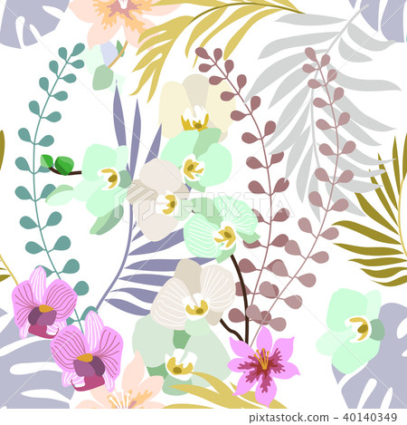 Royal orchids bloom. 40140349