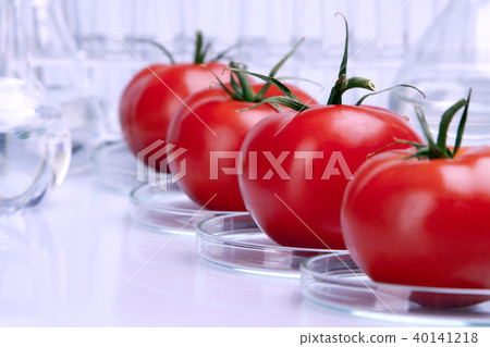 Genetically modified fruits and vegetables 40141218