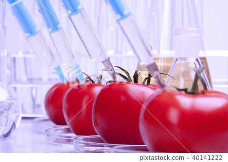 Genetically modified fruits and vegetables Genetically modified fruits and vegetables 40141222