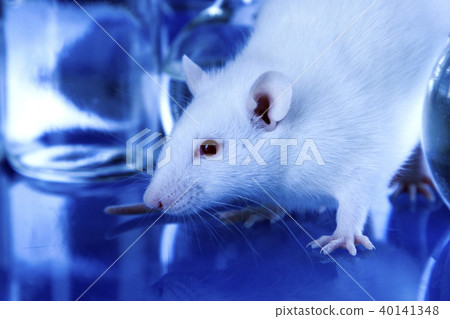 Test tubes in laboratory 40141348