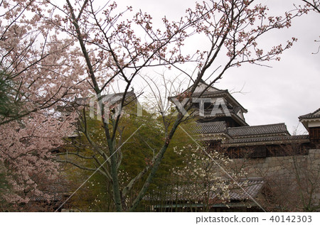 佐倉的松山城 40142303