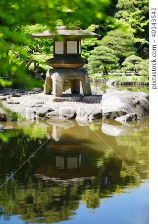 Stone lanterns and young leaves and fresh green leaves of the former Furukawa Garden 40143541