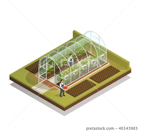 Tunnel Shaped Greenhouse Isometric Composition  40143983