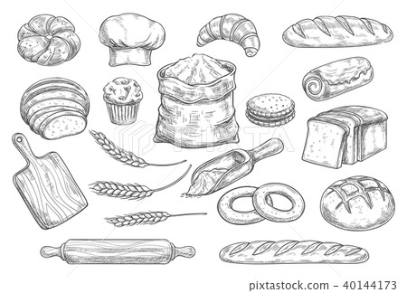 Bread and bun sketch of bakery and pastry food 40144173