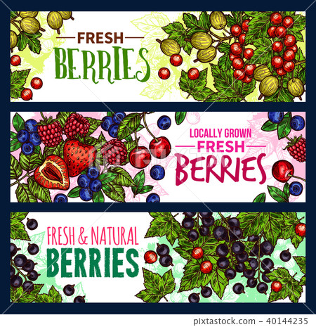 Berry with leaf banner of wild and garden fruit Berry with leaf banner of wild and garden fruit 40144235