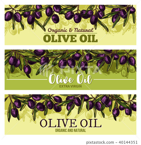 Olive oil banner with border of black fruit, leaf 40144351