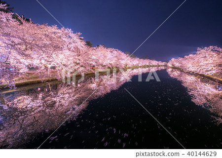 從弘前公園的櫻花西野春日橋反射 40144629