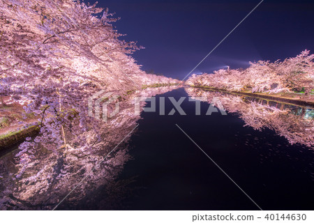 從弘前公園的櫻花西野春日橋反射 40144630