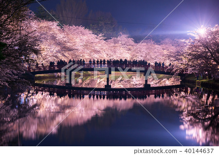 弘前公園櫻花西島春橋橋反射 40144637