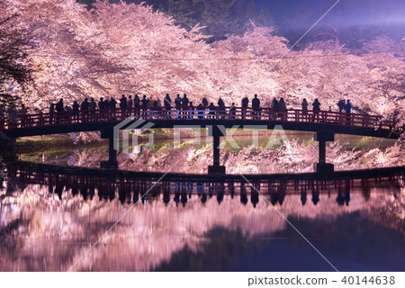 Hirosaki Park Sakura Nishijima Chunyo Bridge Reflection Hirosaki Park Sakura Nishijima Chunyo Bridge Reflection 40144638