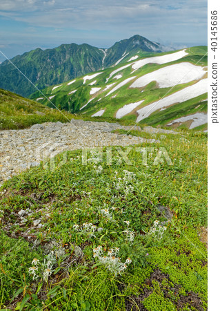 Niihonsen山區以及山區山區。 40145686