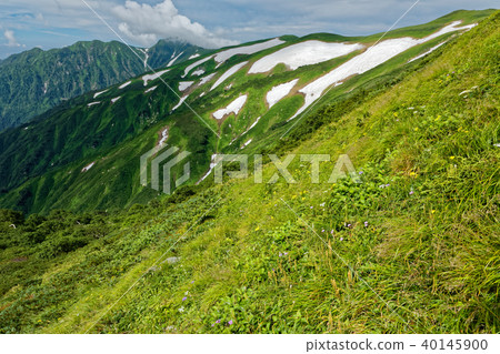 A view of the mountainous area of Iitori mountain range and the direction of the ridge line and Dainichidake of the remaining snow A view of the mountainous area of Iitori mountain range and the direction of the ridge line and Dainichidake of the remaining snow 40145900