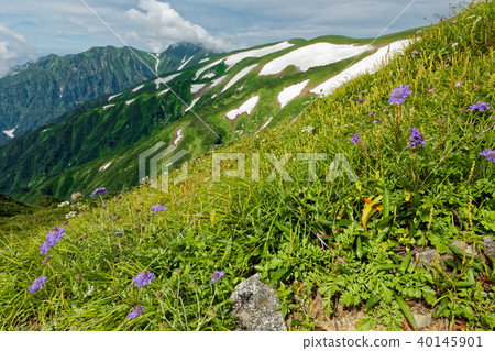 A view of the Mt. Imanto mountain ridge and the direction of the ridgeline of the remaining snow, Dainichidake A view of the Mt. Imanto mountain ridge and the direction of the ridgeline of the remaining snow, Dainichidake 40145901