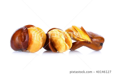 Vicia faba on white background 40146127